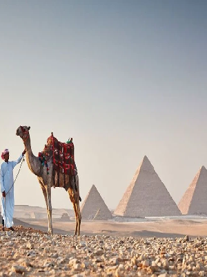 Travel Packages